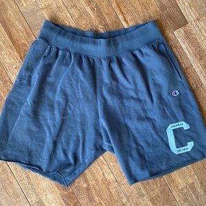 Gray Champion Men’s Shorts Size 2XL, 20 1/2 inch top to bottom